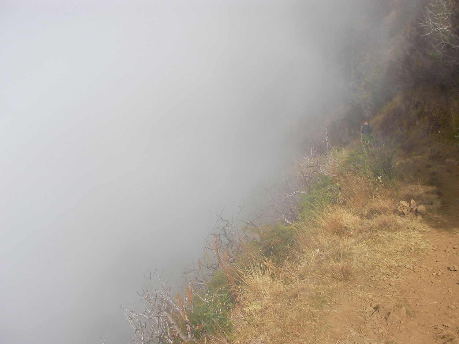 Piton Maïdo