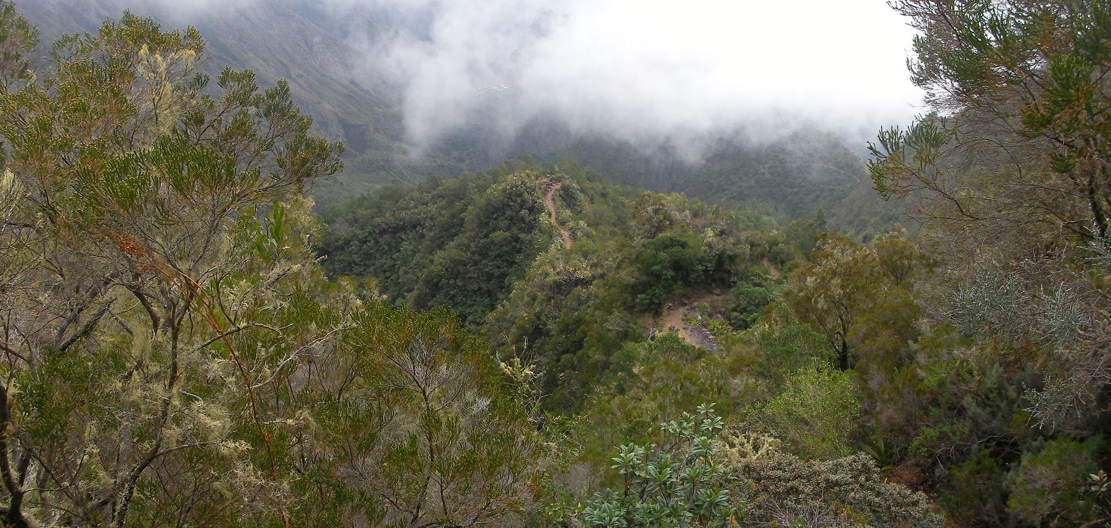 Piton Maïdo