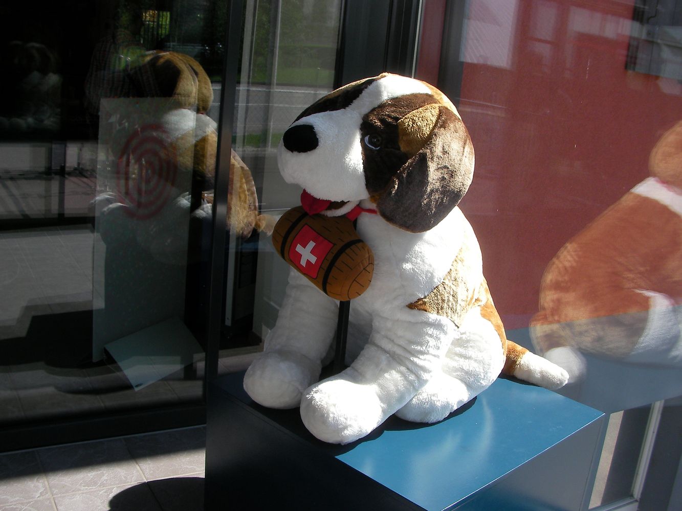 chien