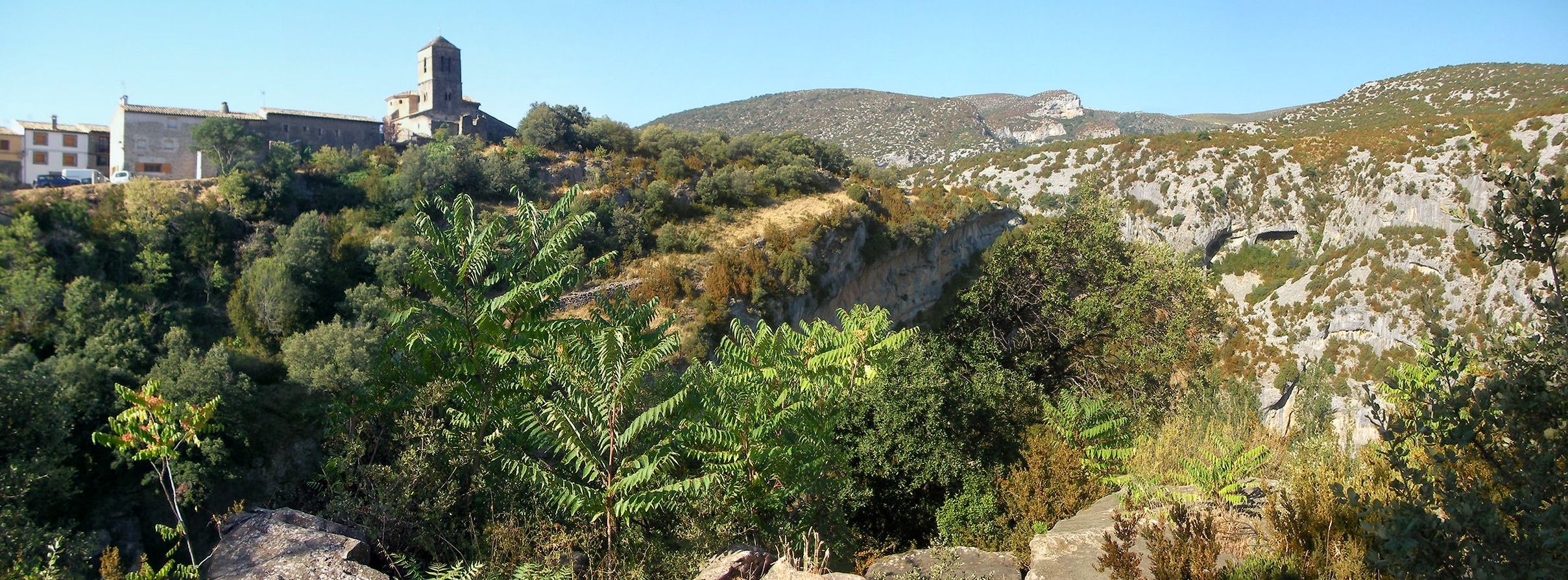 Rodeliar