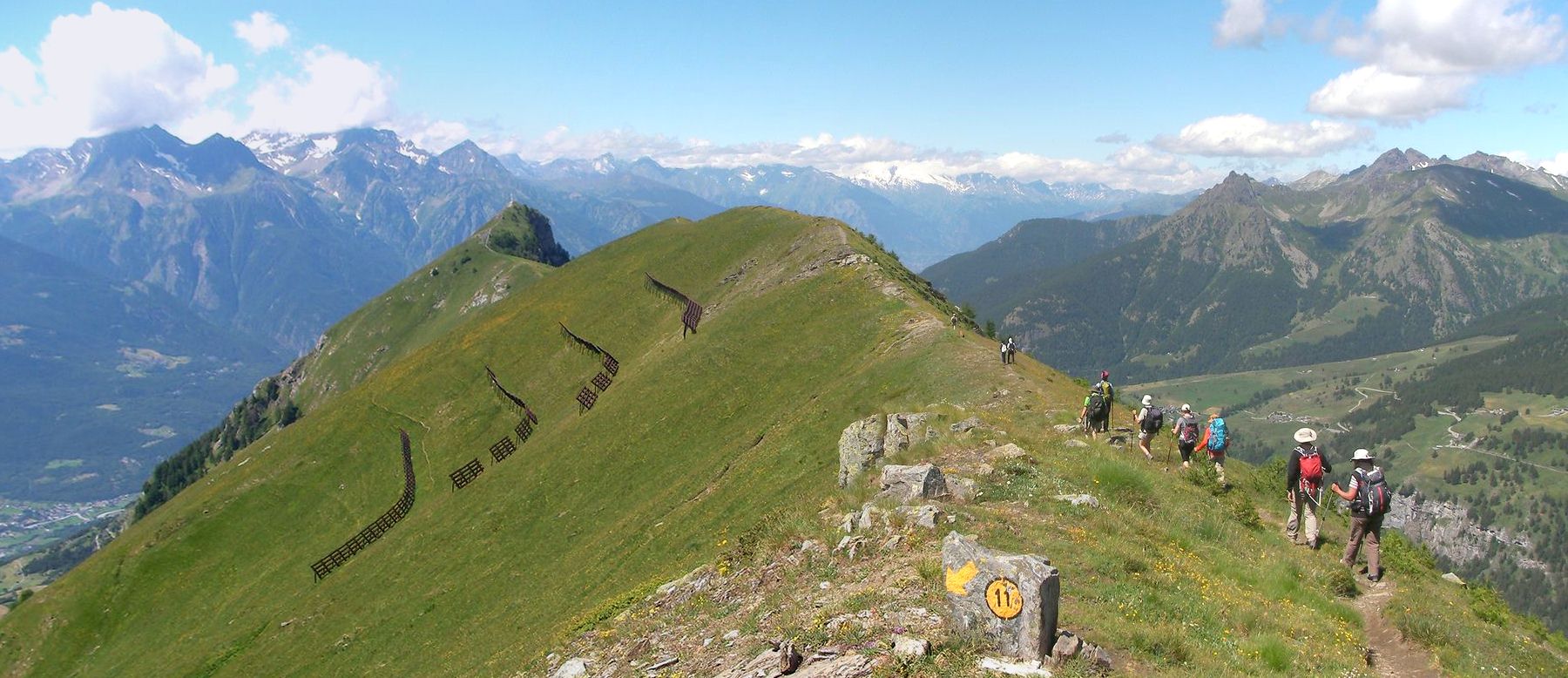 Cime