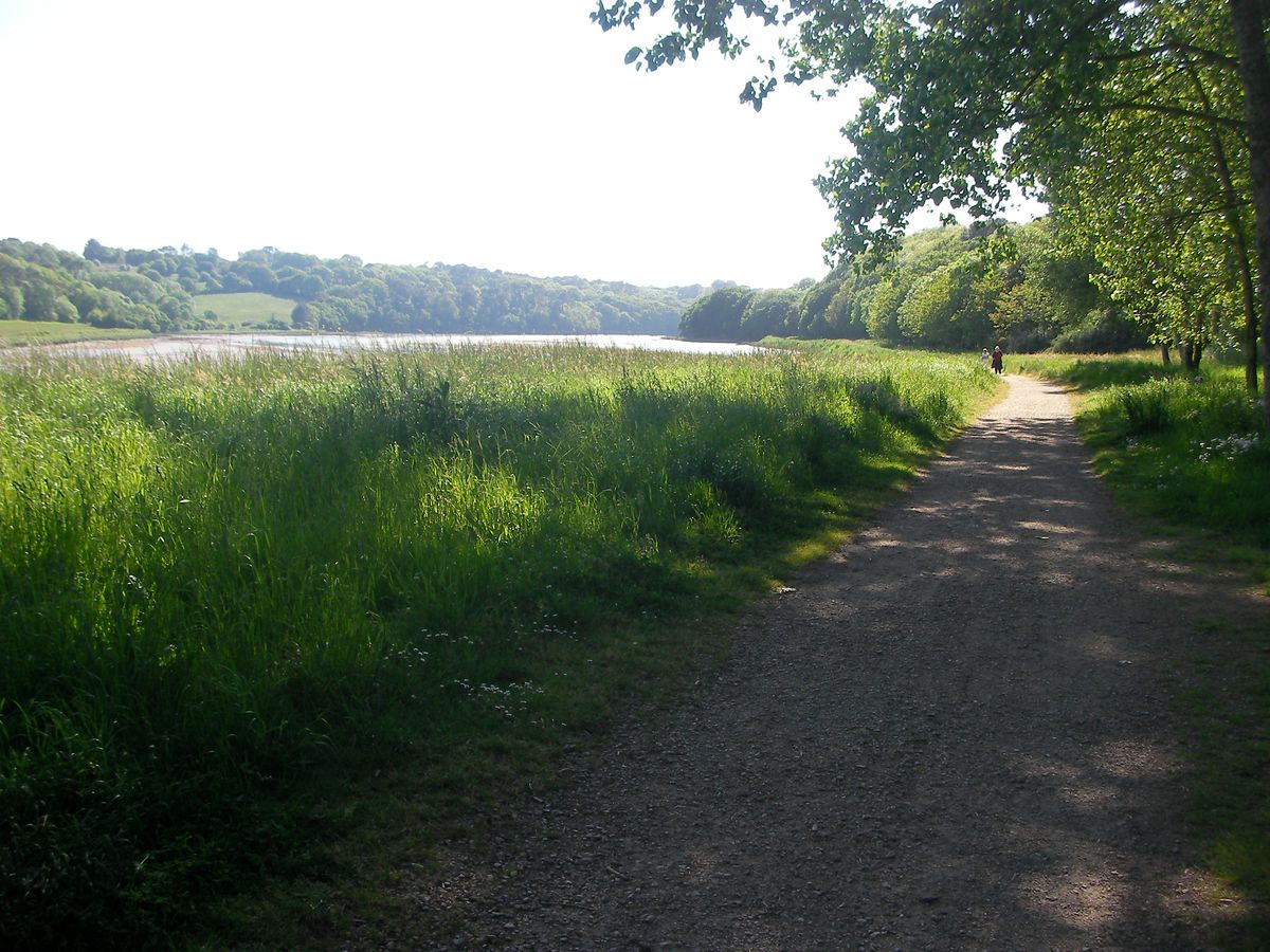 chemin de halage